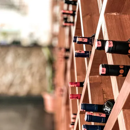 酒店 尼姆法酒店 Kanine