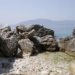 Nimfa Kanine